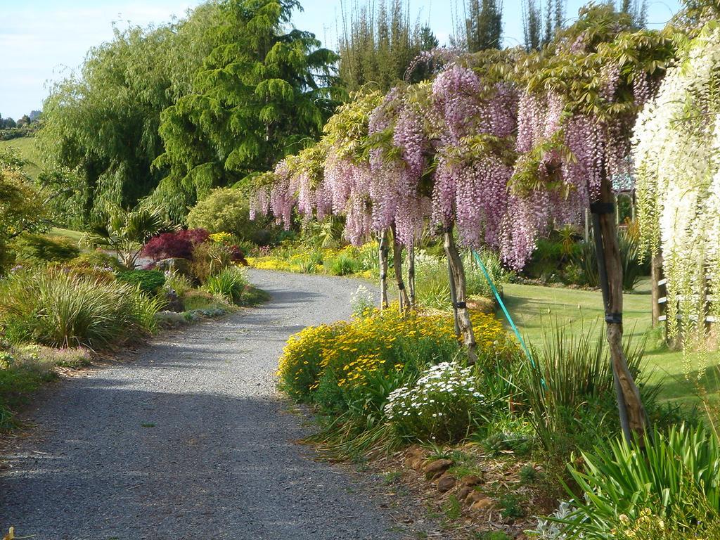 The Georgian Lodge Kerikeri Extérieur photo